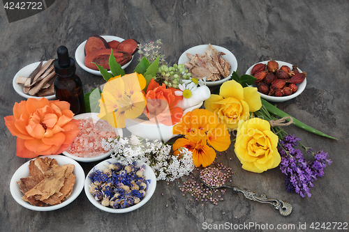 Image of Flowers and Herbs for Natural  Healing