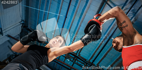 Image of The female boxer and afro american male boxer.