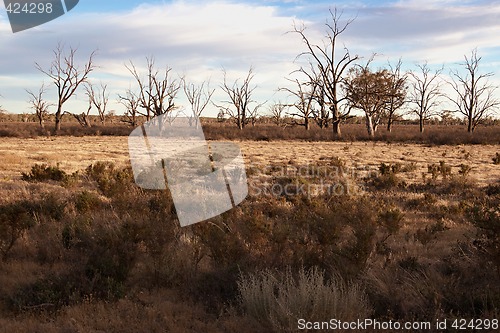 Image of hard dry land