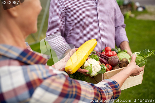 Image of senior couple with box of vegetables on farm