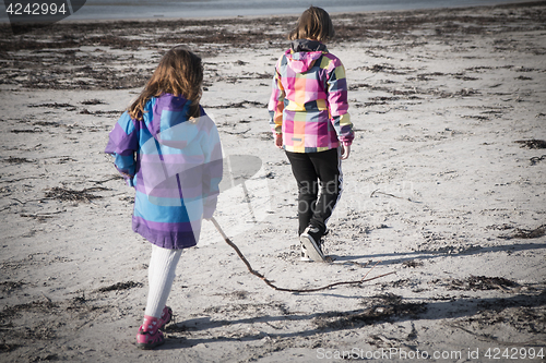 Image of Exploring the Beach