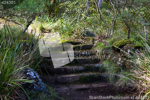 Image of the steps