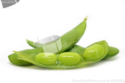 Image of Edamame, boiled green soy beans