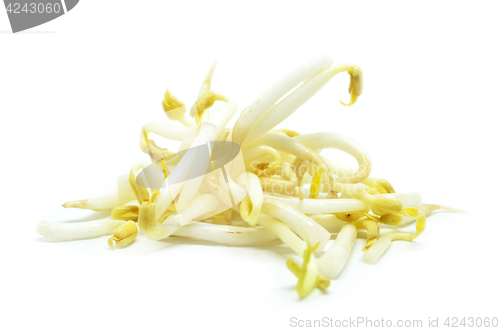 Image of Pile of bean sprouts