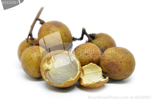 Image of Longan on white background