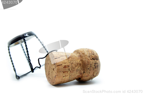 Image of Cork from champagne bottle