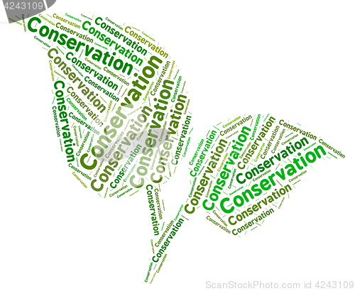 Image of Conservation Word Represents Eco Friendly And Ecology