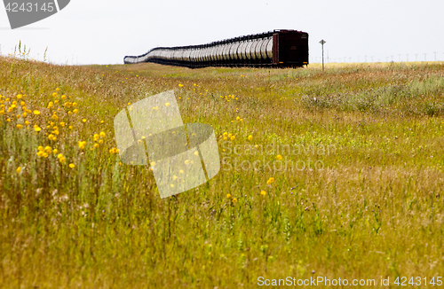 Image of Train in the Prairies
