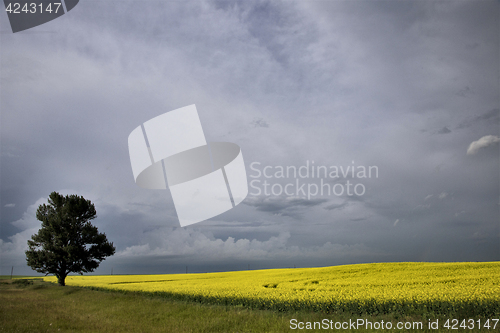 Image of Storm Clouds Saskatchewan