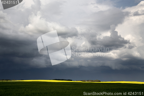 Image of Storm Clouds Saskatchewan