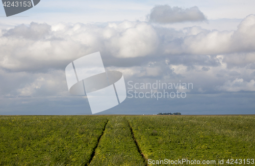 Image of Storm Clouds Saskatchewan