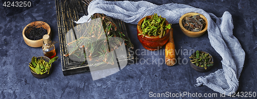 Image of Harvest of medicinal herb