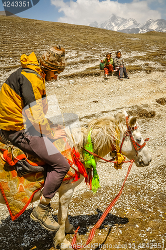 Image of Tourist on horse