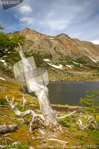 Image of Greenery in mountain range