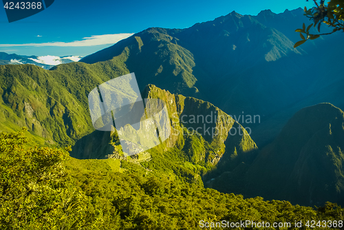 Image of Greenery in Peru