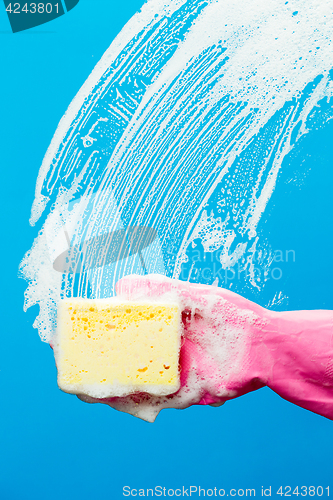 Image of Professional window cleaner with sponge