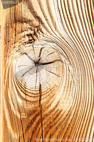 Image of detail of wooden knot on spruce plank