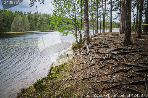 Image of Spring landscape in the forest lake