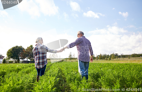 Image of happy senior couple holding hands at summer farm