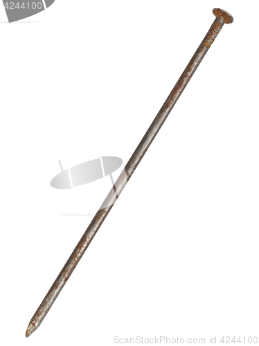 Image of Big rusty nail