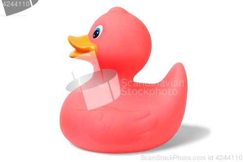 Image of Pink rubber duck