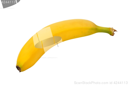 Image of Banana on white