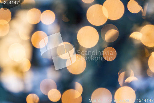 Image of Beautiful Bokeh