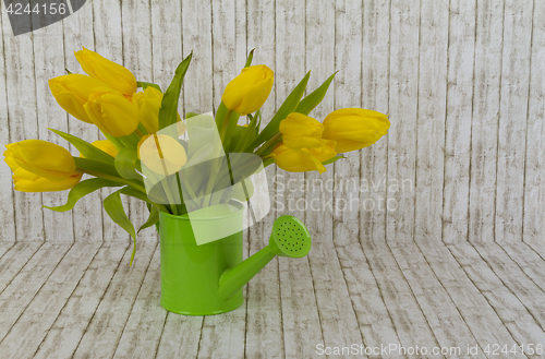 Image of Yellow tulips in green watering can