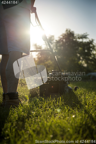 Image of Young man mowing the grass