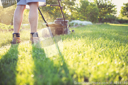 Image of Young man mowing the grass