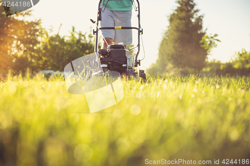 Image of Young man mowing the grass