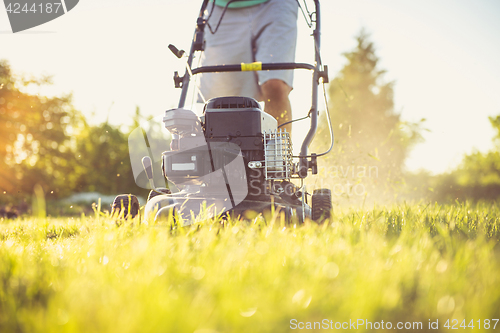 Image of Young man mowing the grass