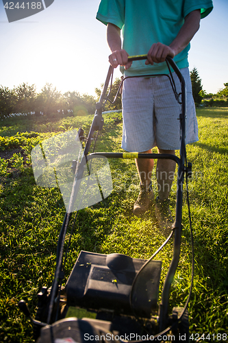 Image of Young man mowing the grass