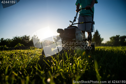 Image of Young man mowing the grass