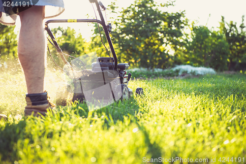 Image of Young man mowing the grass
