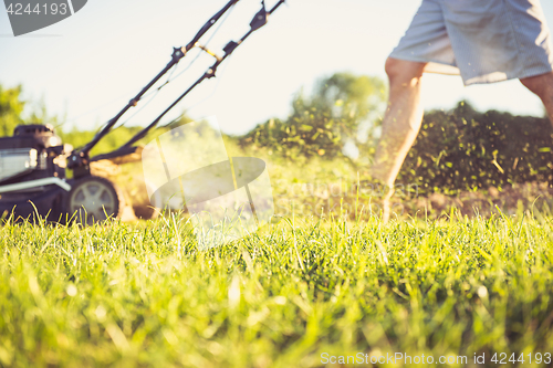 Image of Young man mowing the grass