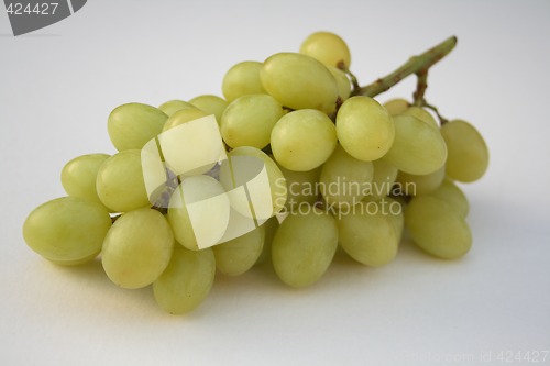 Image of bunch of grapes