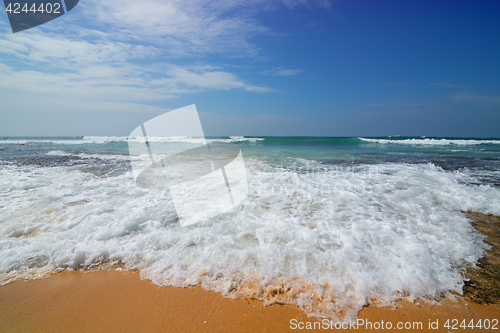 Image of Foamy wave of the sea