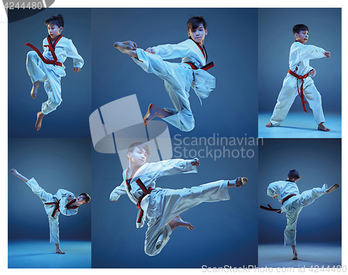 Image of The studio shot of kids training karate martial arts