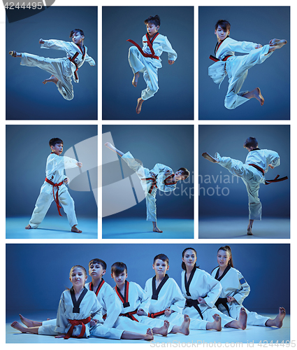 Image of The studio shot of group of kids training karate martial arts
