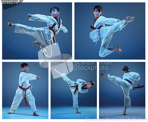 Image of The studio shot of kids training karate martial arts