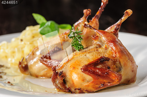 Image of Roasted or fried quail with herbs and tagliatelle