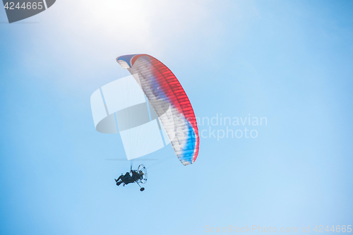 Image of Paragliding in mountains