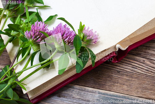 Image of clover flowers and old album
