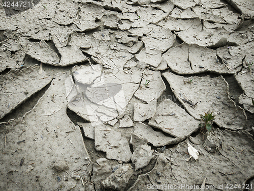 Image of Dry cracked earth