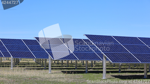 Image of Solar Panels on a Field with Blue Sky