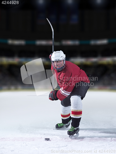 Image of ice hockey player in action