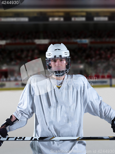 Image of hockey player portrait