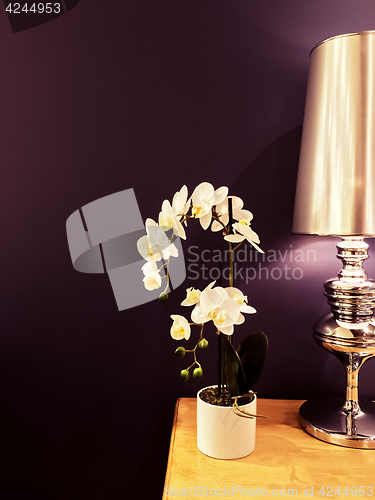 Image of White orchid and metal lamp in purple interior