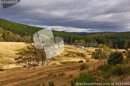 Image of Valley in Tasmania